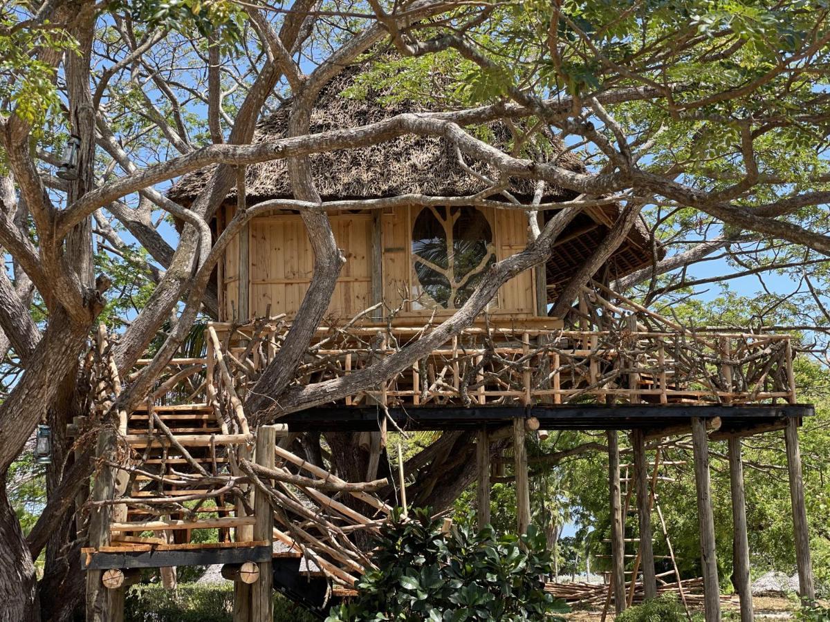 אורואה Antonio Beach Tree House Hotel & Spa מראה חיצוני תמונה